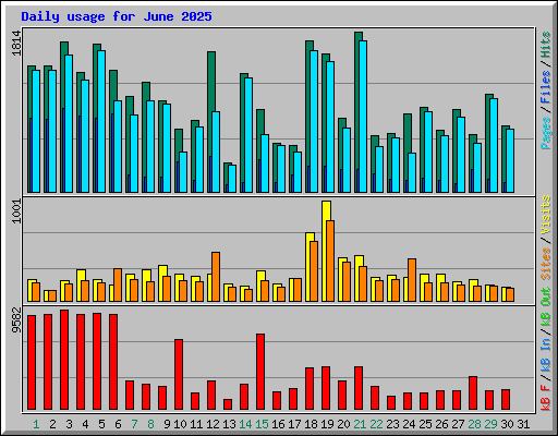 Daily usage for June 2025