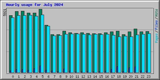 Hourly usage for July 2024