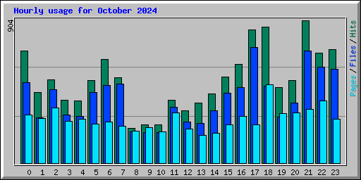 Hourly usage for October 2024