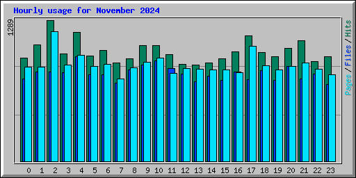 Hourly usage for November 2024