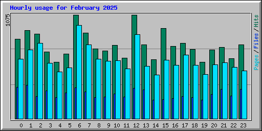 Hourly usage for February 2025