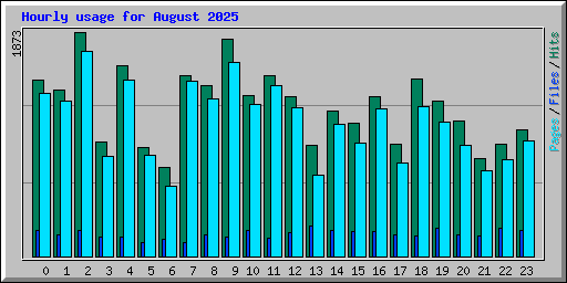 Hourly usage for August 2025