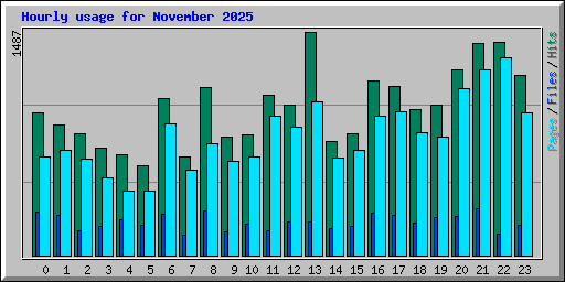 Hourly usage for November 2025