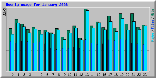 Hourly usage for January 2026
