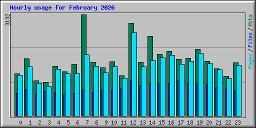 Hourly usage for February 2026