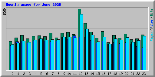 Hourly usage for June 2026