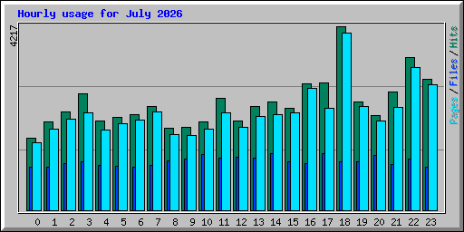 Hourly usage for July 2026