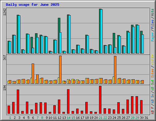 Daily usage for June 2025