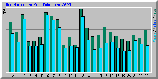 Hourly usage for February 2025