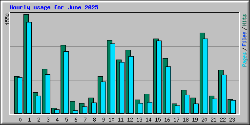 Hourly usage for June 2025