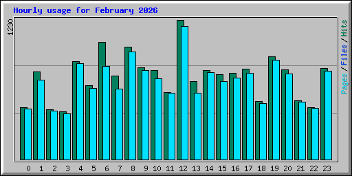 Hourly usage for February 2026